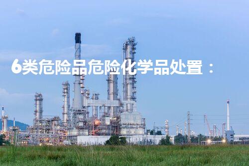 6类危险品危险化学品处置：技术革新与安全前景