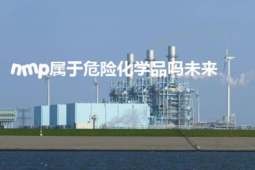 nmp属于危险化学品吗未来环保：创新科技与可持续发展的新里程碑！