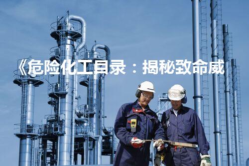 《危险化工目录：揭秘致命威胁，你真的了解吗？》