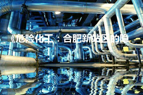 《危险化工：合肥新站区的隐患与未来》
