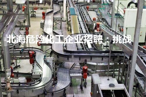 北海危险化工企业招聘：挑战极限，成就梦想！