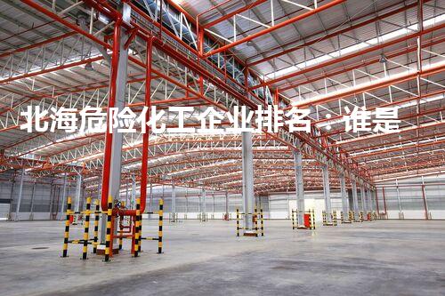 北海危险化工企业排名：谁是最具潜在风险的巨头？