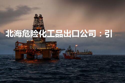 北海危险化工品出口公司：引爆贸易市场的潜力巨头！