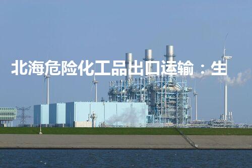 北海危险化工品出口运输：生死一线，谁将守护？