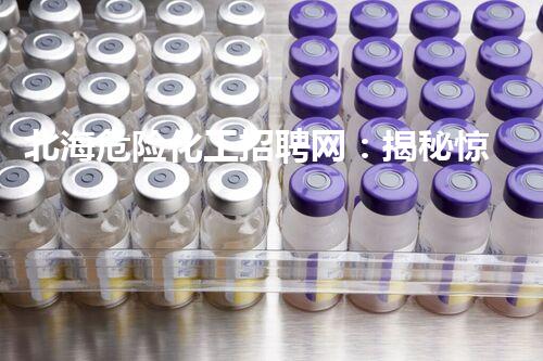 北海危险化工招聘网：揭秘惊心背后的危险与挑战！