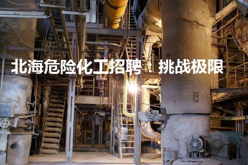 北海危险化工招聘：挑战极限，冒险者们，你敢来吗？