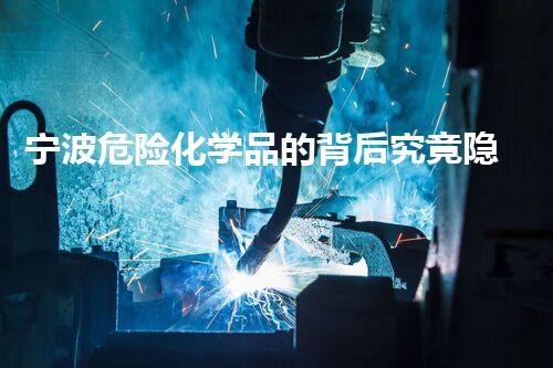 宁波危险化学品的背后究竟隐藏着哪些不为人知的秘密？