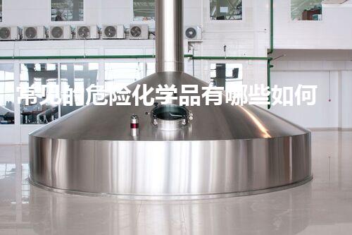 常见的危险化学品有哪些如何安全高效处置危险化学品？你必须知道的专业技术揭秘！