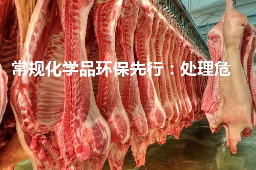 常规化学品环保先行：处理危险废物的创新技术和实践