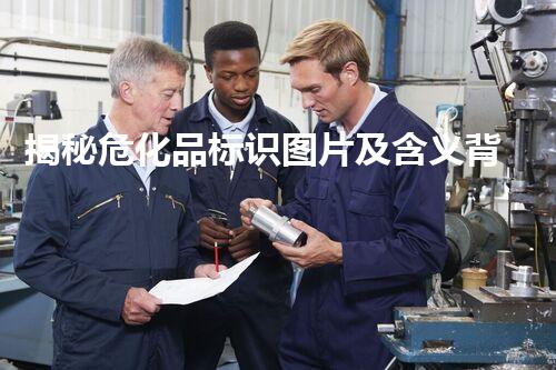 揭秘危化品标识图片及含义背后的安全密码，你知道吗？
