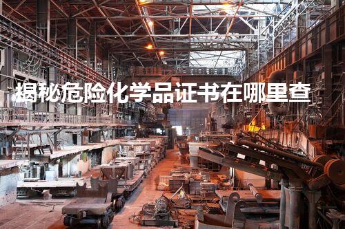揭秘危险化学品证书在哪里查询？你绝对想不到的查询秘籍！