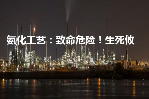 氨化工艺：致命危险！生死攸关的化学之谜？