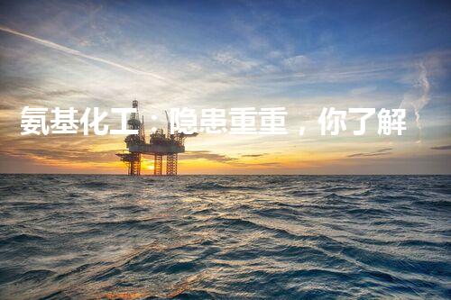 氨基化工：隐患重重，你了解多少？