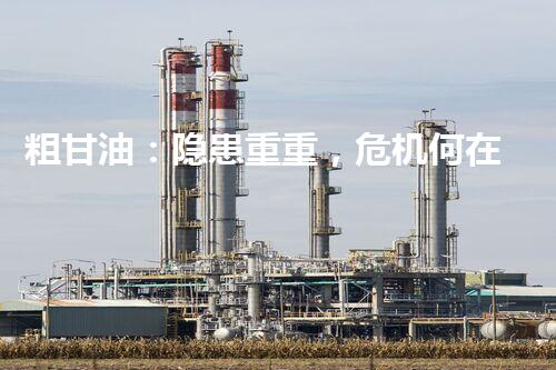 粗甘油：隐患重重，危机何在？