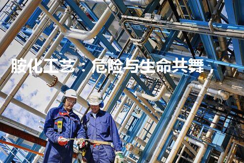 胺化工艺：危险与生命共舞，谁将主宰？