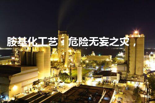 胺基化工艺：危险无妄之灾，你真的了解吗？