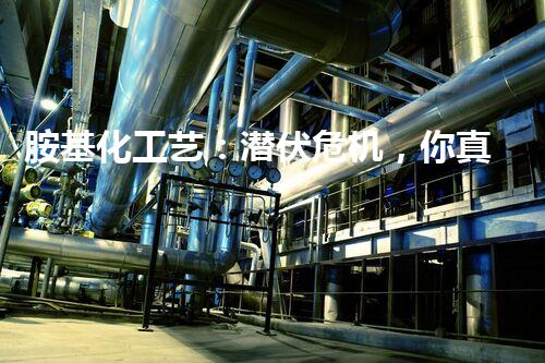 胺基化工艺：潜伏危机，你真的了解吗？