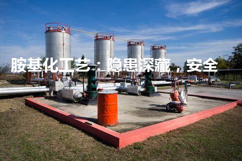 胺基化工艺：隐患深藏，安全何在？