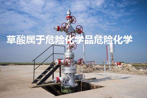 草酸属于危险化学品危险化学品处置的挑战与解决方案揭秘你知道吗？