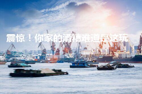 震惊！你家的酒精难道是这玩意？危化品吗？